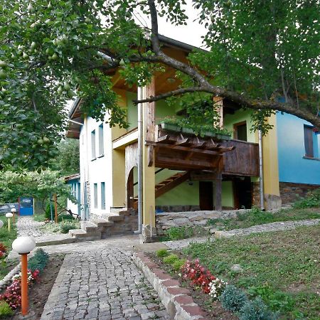 Chuchi Guest House 1 Zlatna Panega Екстер'єр фото