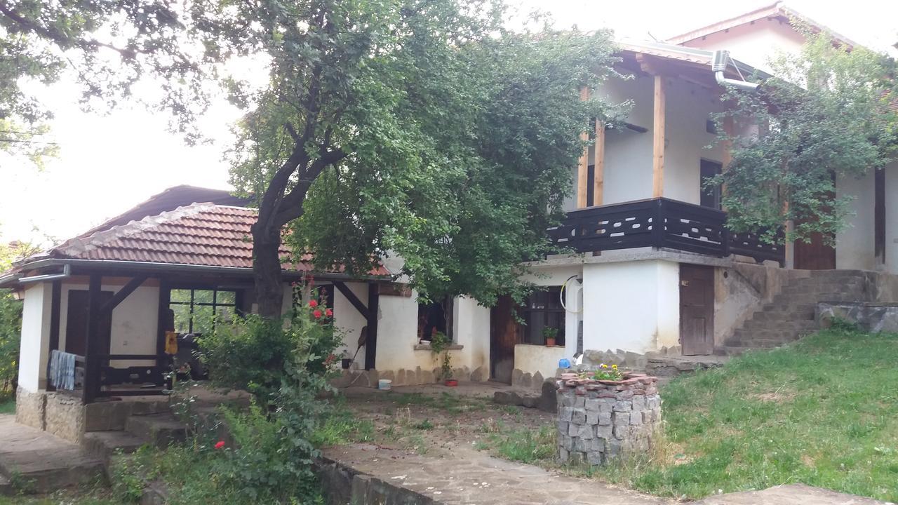 Chuchi Guest House 1 Zlatna Panega Екстер'єр фото
