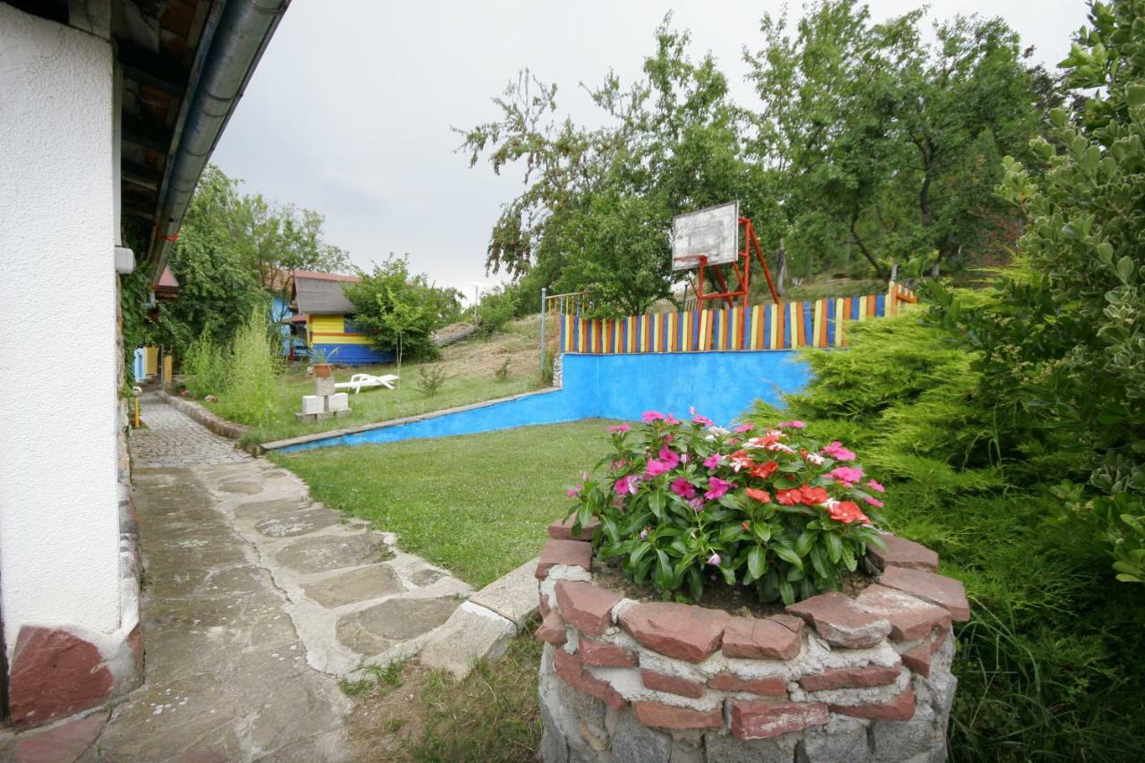 Chuchi Guest House 1 Zlatna Panega Екстер'єр фото