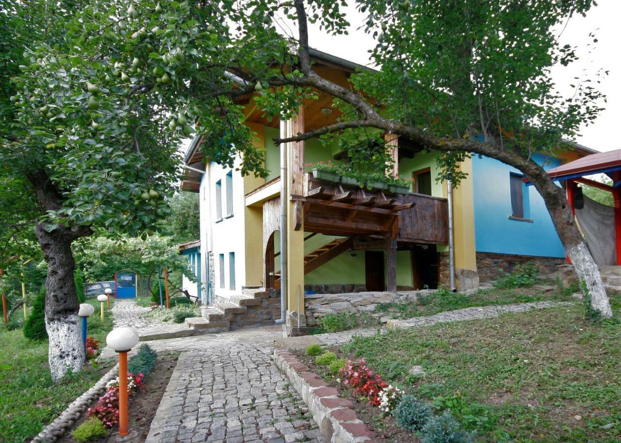 Chuchi Guest House 1 Zlatna Panega Екстер'єр фото